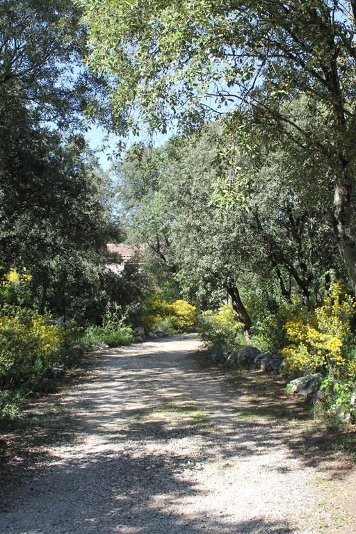A L'Est D'Uzes Vila Saint-Siffret Exterior foto